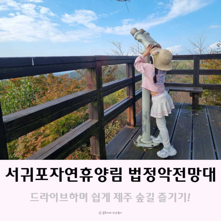 제주도 갈만한곳 : 서귀포자연휴양림 법정악전망대 제주숲길 후기 제주도 갈만한곳 : 서귀포자연휴양림 법정악전망대 제주숲길 후기