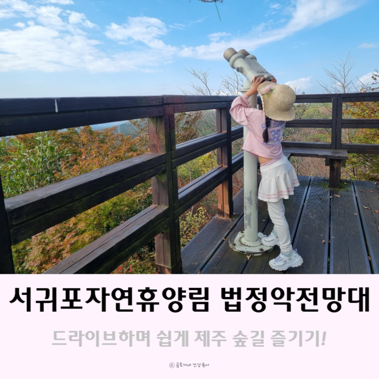 제주도 갈만한곳 : 서귀포자연휴양림 법정악전망대 제주숲길 후기