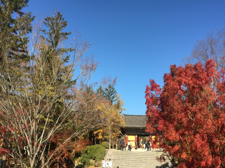  경주를 한바퀴 돌고 도는 경주 여행 두번째 날 -1