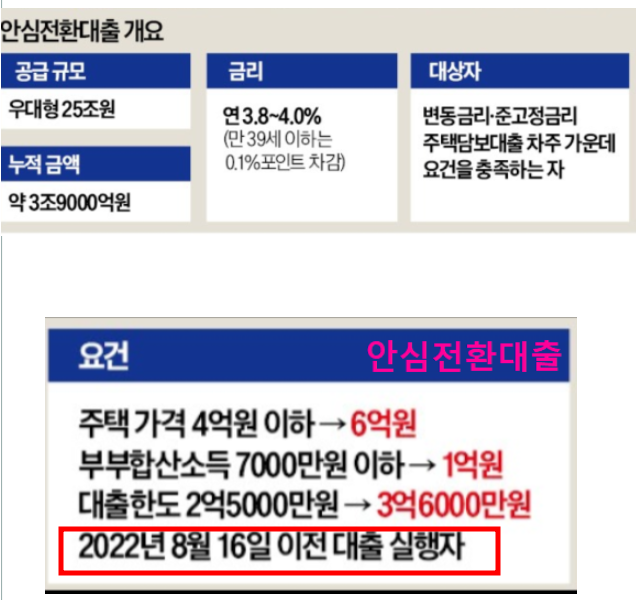 9억 주택까지 안심전환대출 추진…생활비 소액대출도 9억 주택까지 안심전환대출 추진…생활비 소액대출도