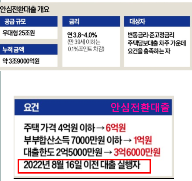 9억 주택까지 안심전환대출 추진…생활비 소액대출도