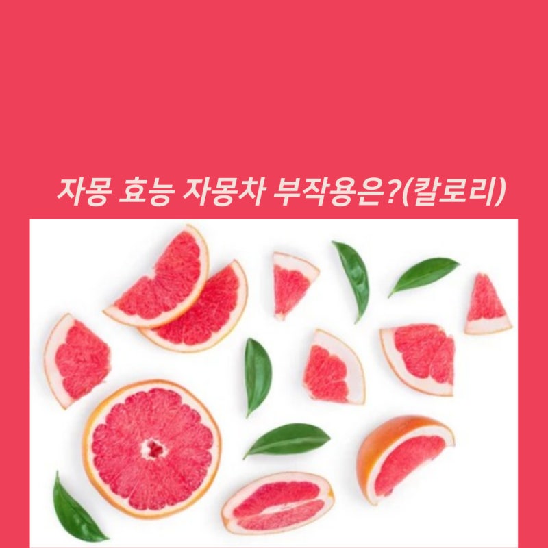 자몽 효능 자몽차 부작용은?(칼로리) : 네이버 블로그