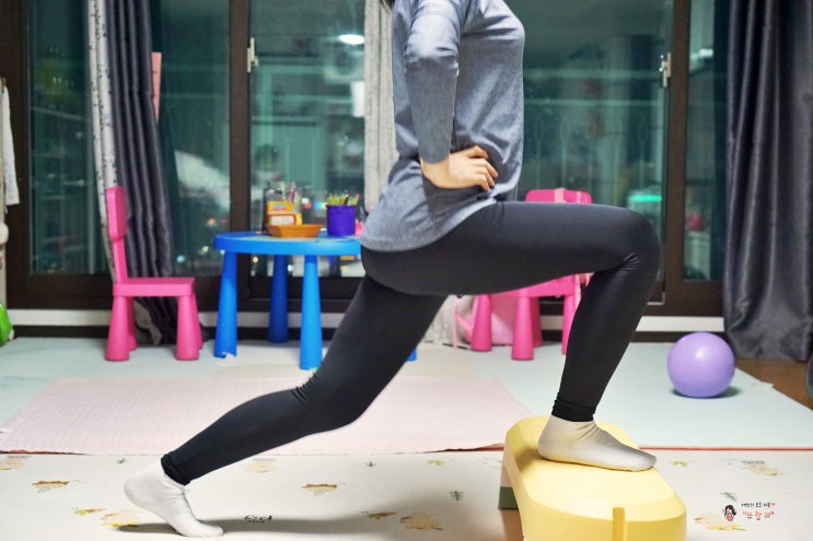  이고진 스텝박스 활용한 하체 유산소운동 즐기기