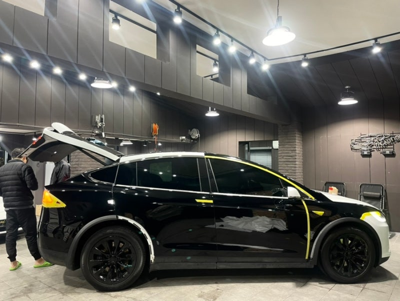 성남 판교 분당구 / PPF / 테슬라 / 모델X