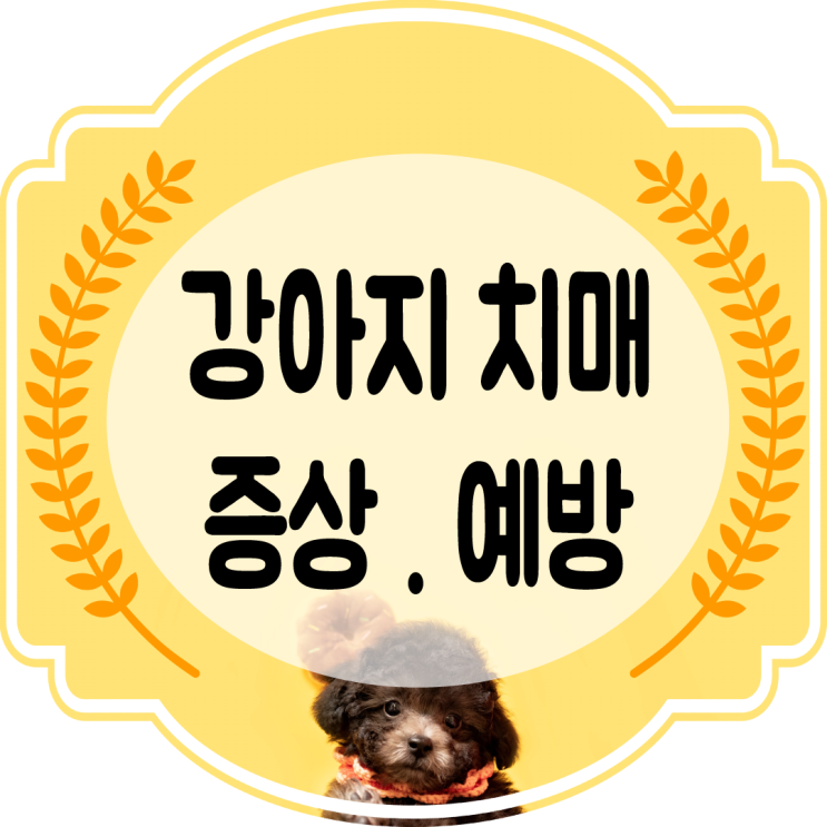  혹시 우리 아이도?? 강아지 치매 증상. 예방법을 알아보자!!