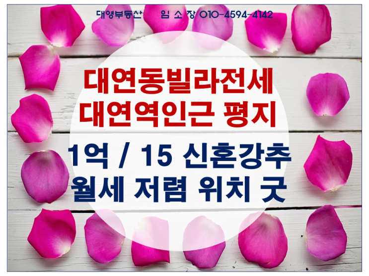  대연역 인근 빌라 전월세 저렴20평 1억-15만원 신혼부부 강추