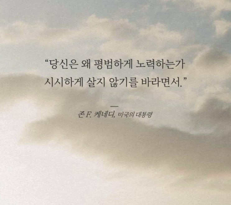  부거사이 [부동산 뉴스와 블로그] 11월 7일(월)