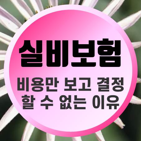  비용만 보고 65세실비보험 추천 상품을 결정할 수 없는 이유
