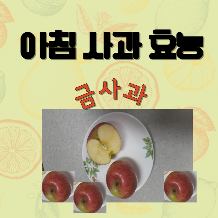  아침사과효능 사과 칼로리 금사과