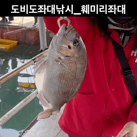  도비도항좌대 훼미리호 좌대낚시에서 난지도 낚시 즐기기