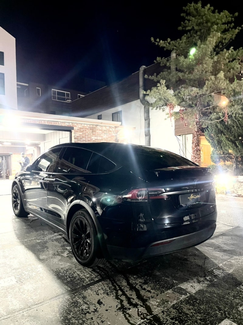 성남 판교 분당구 / PPF / 테슬라 / 모델X