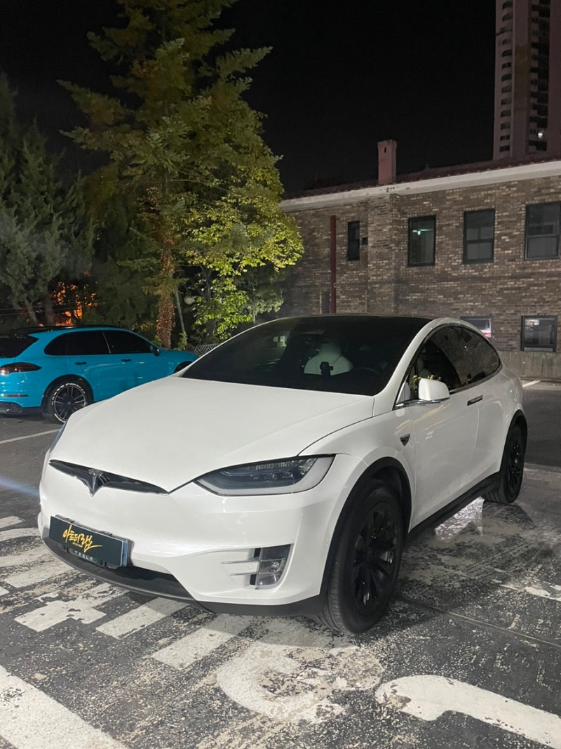 성남 판교 분당구 / PPF / 테슬라 / 모델X