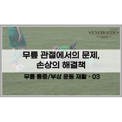  무릎 재활 운동에 관하여 - 3. 무릎 관절에서의 문제, 손상의 해결책