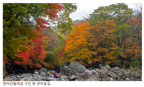 대전둘레산길·한라산둘레길, 국가숲길 지정_산림청 대전둘레산길·한라산둘레길, 국가숲길 지정_산림청