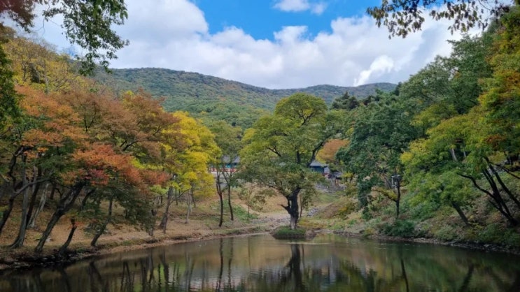  진주 여행 가볼만한 사찰, 절  (청곡사) 방문기