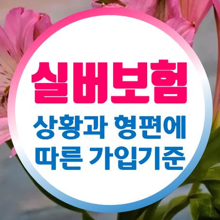  상황과 형편에 맞춰서 부모님실버보험 가입을 알아보았다.