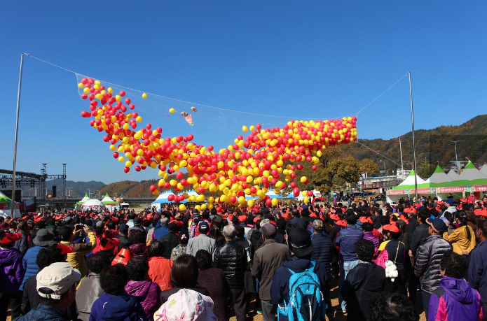  청송사과축제 기본정보, 가수 라인업, 온라인 리뷰, 취소 없이 진행