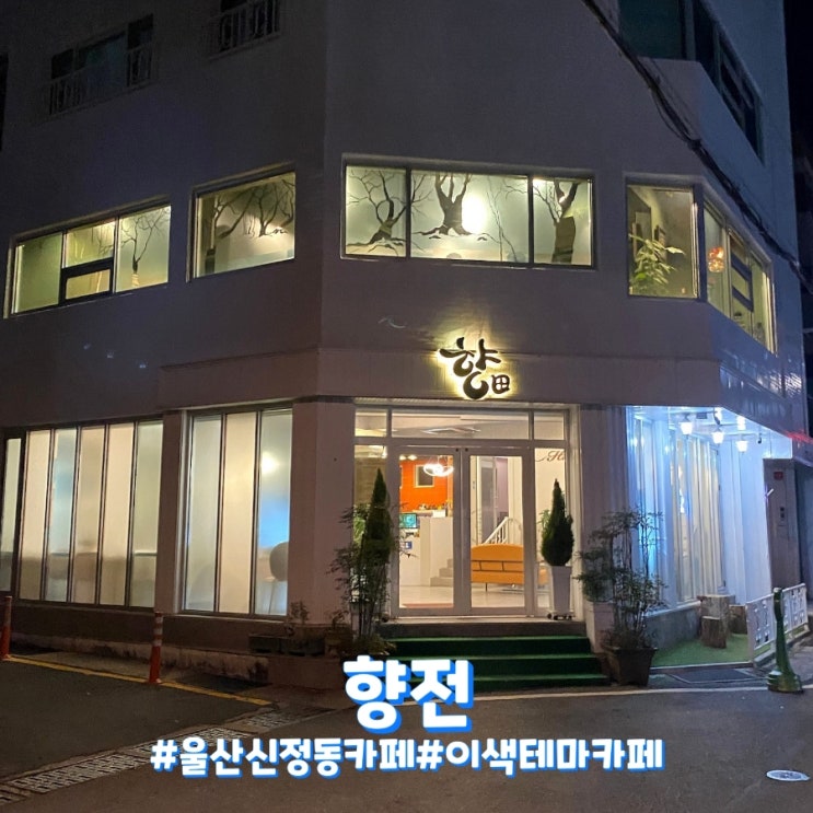  울산 신정동 이색 갤러리 카페 향전!