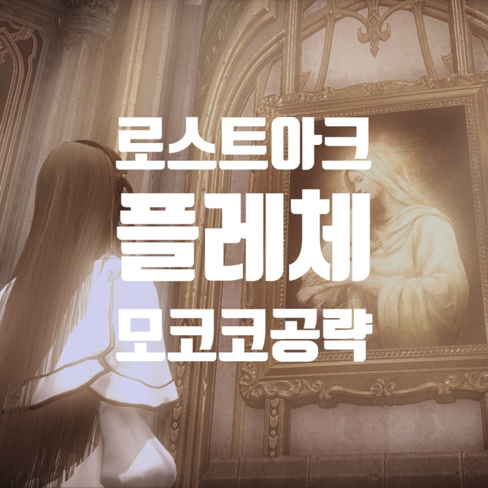  로스트아크 플레체 로아 모코코씨앗 위치 공략