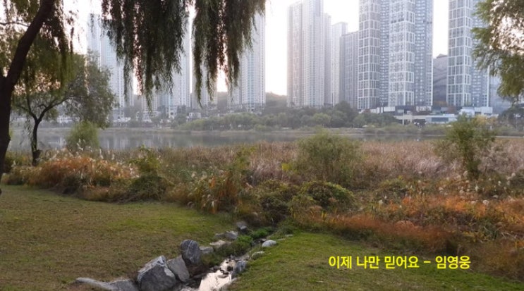 이제 나만 믿어요 - 임영웅 이제 나만 믿어요 - 임영웅