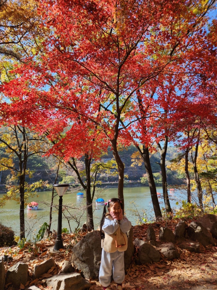  진주 근교나들이 함안 입곡군립공원 아이랑 산책하기 좋아