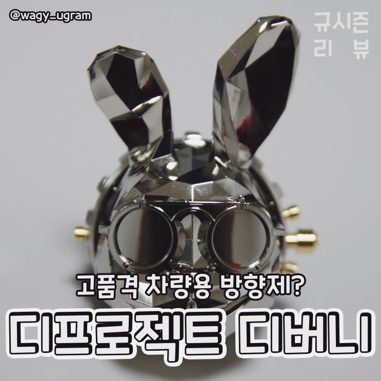  디프로젝트 디버니 차량용 방향제 추천 리뷰