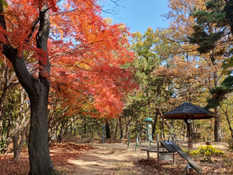  가을산행, 청주 우암산 천천히 1시간 반 코스