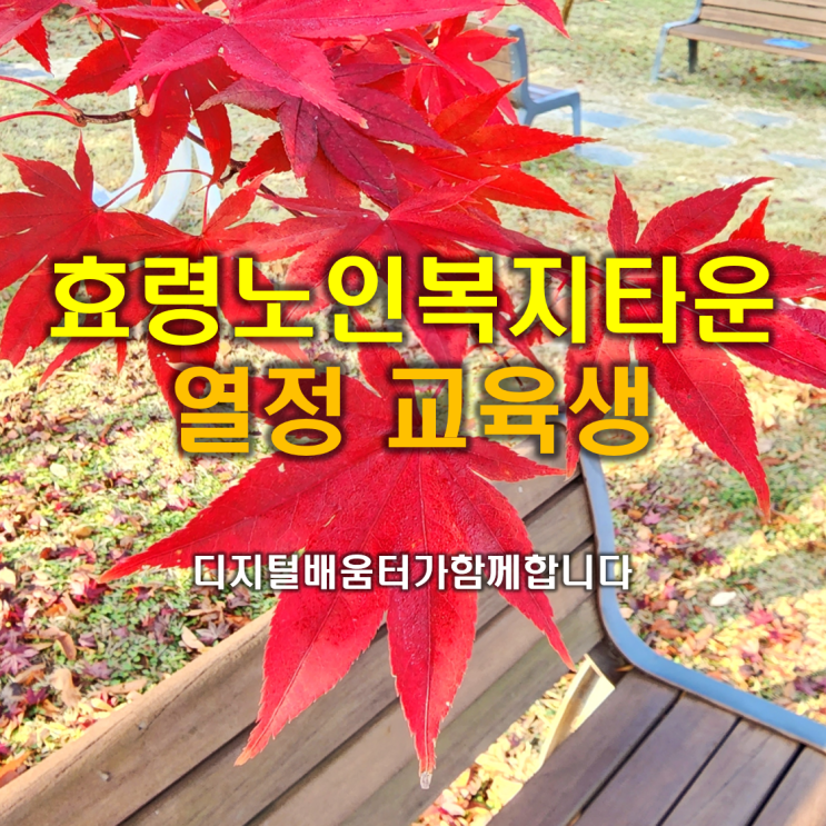 [광주효령노인복지타운] 왕초보 스마트폰 활용반 배움의 열정에는 한계가 없다[디지털 배움터 강사]