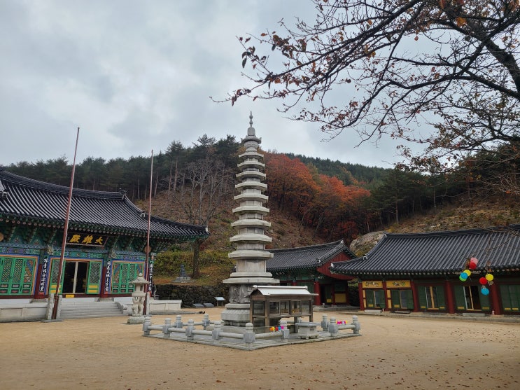  [강원도 고성] 고성 화암사 단풍구경