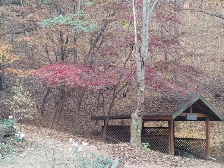 오늘 아침 망현산에서 본 여러 모습들