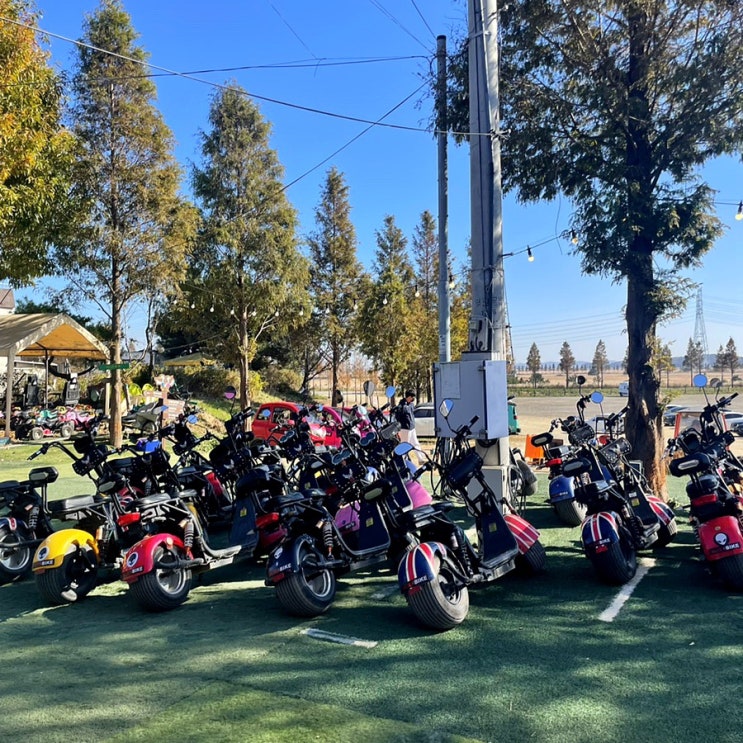  [대부도 에일리언바이크] 에일리언바이크, ALIENBIKE, 대부도, 대부도스쿠터, 대부향기테마파크, 대부도여행, 대부도데이트, 대부도바이크, 대부도스쿠터