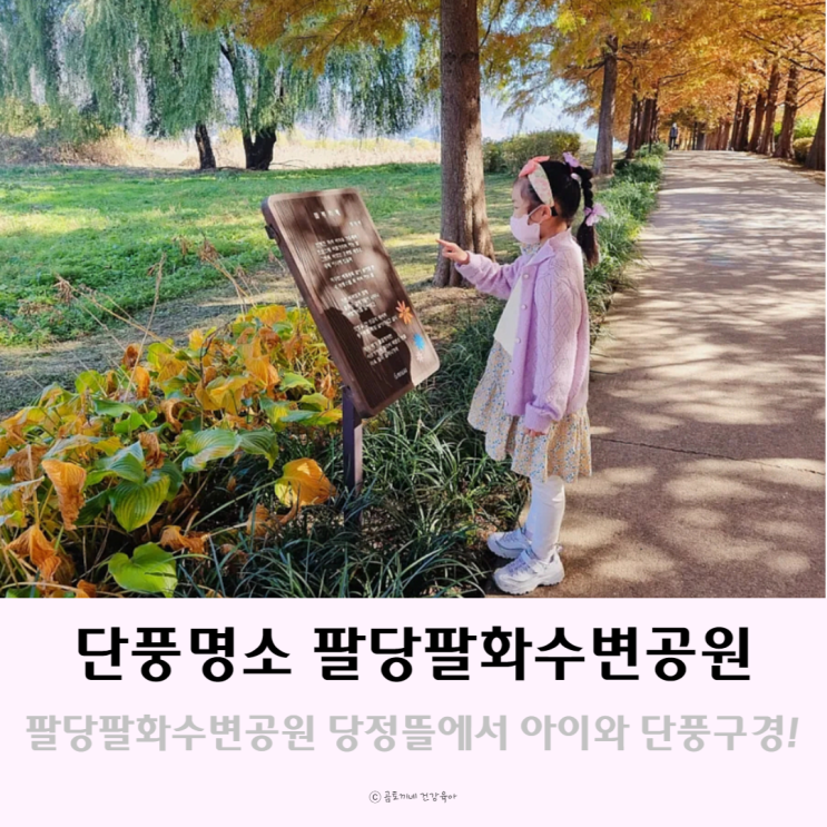 서울근교 단풍명소 아이와 팔당팔화수변공원 당정뜰 다녀온 후기