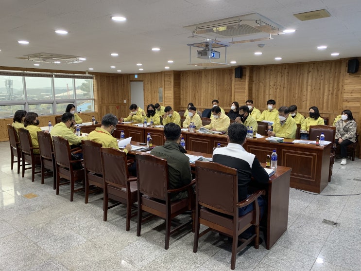 강원도 철원군에 소나무재선충병 발생 확인(산림청) 강원도 철원군에 소나무재선충병 발생 확인(산림청)