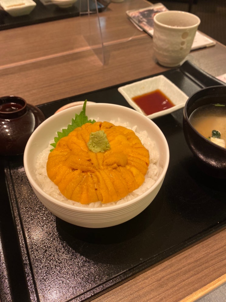  우니 무라카미_ 삿포로 우니동(성게알 덮밥), 솔직후기