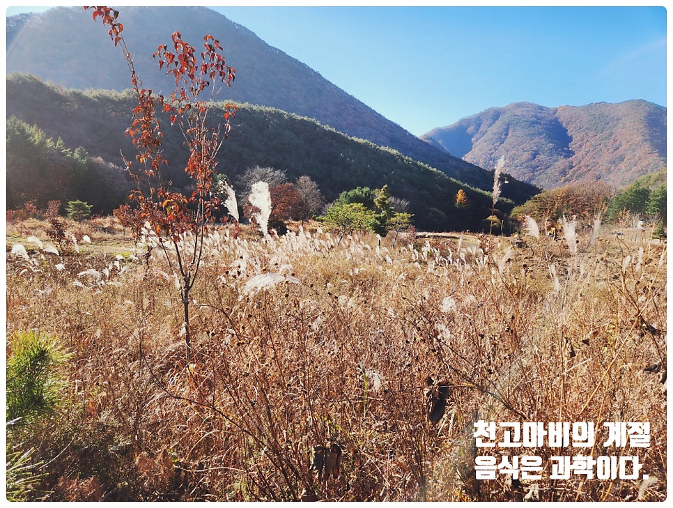연촌염소탕 본점 사진 1