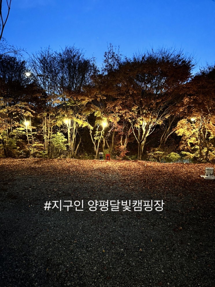  [지구인캠핑장] 공기 좋은 산속 캠핑 양평달빛캠핑장 방문 후기