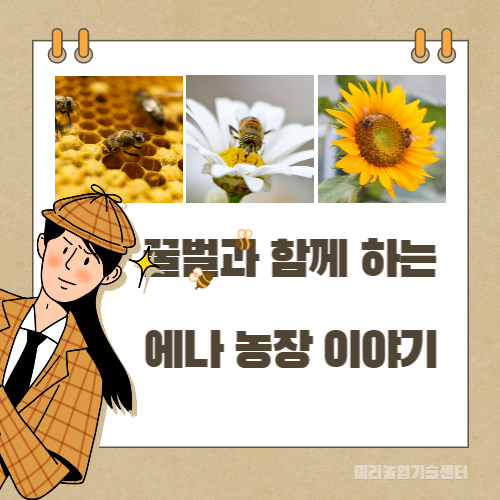  꿀벌 키우는 양봉장인 에나 농장 이야기