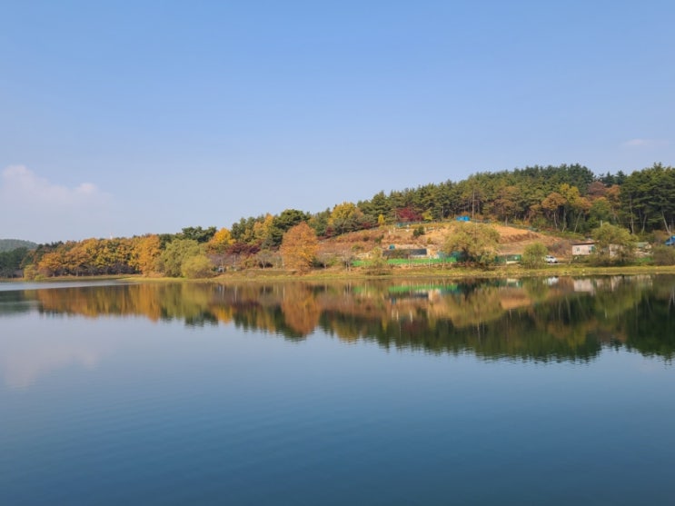  군산 은파호수공원 수변로 산책(주차장~물빛다리~생태습지~별빛다리~원점)