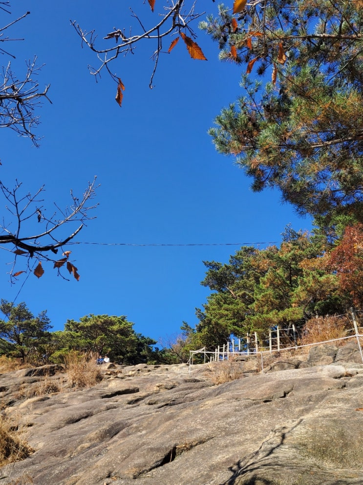  광나루역맛집 _ 아차산 등산 후 건강한 한끼 30년 전통 할매복집