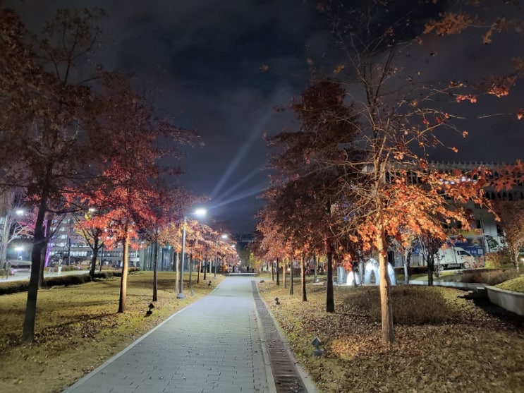  세상에 쉬운게 없네요[MBA 수업 가는길]