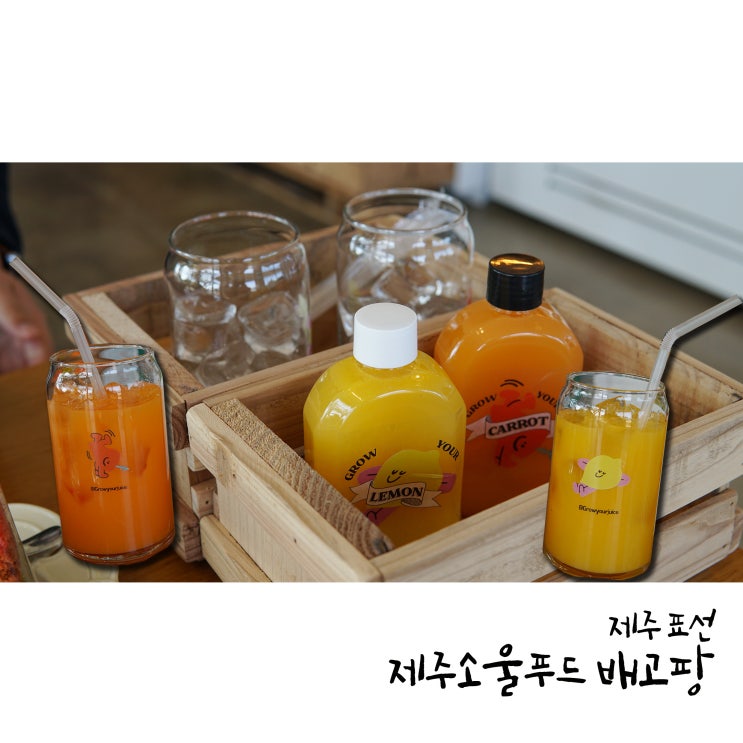  제주 표선 카페 건강한 음료 착즙주스 전문점 제주소울푸드 배고팡