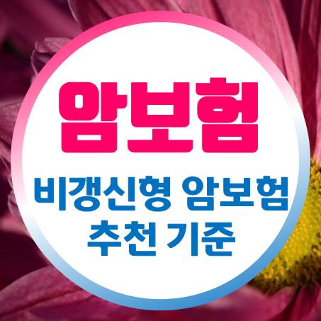  가격과 심사 및 환급에 따라 달라지는 암보험비갱신형추천 기준
