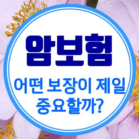  설계사는 암진단보험 비교할 때 무엇을 제일 신경 쓸까?