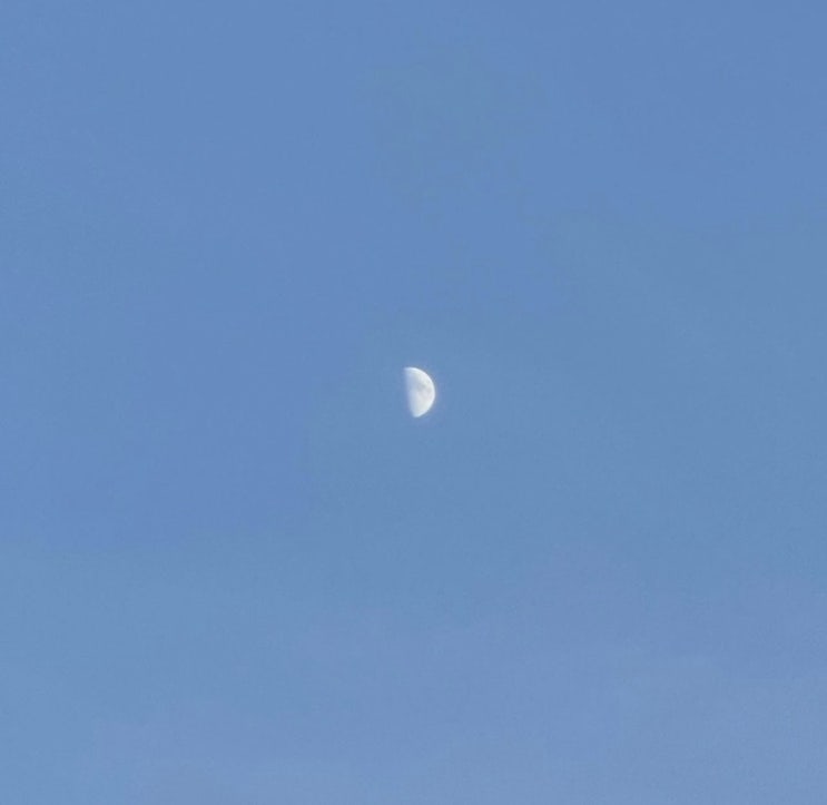  지향점