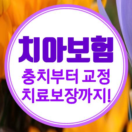  충치부터 치아교정까지 유아 치아보험 추천하는 곳