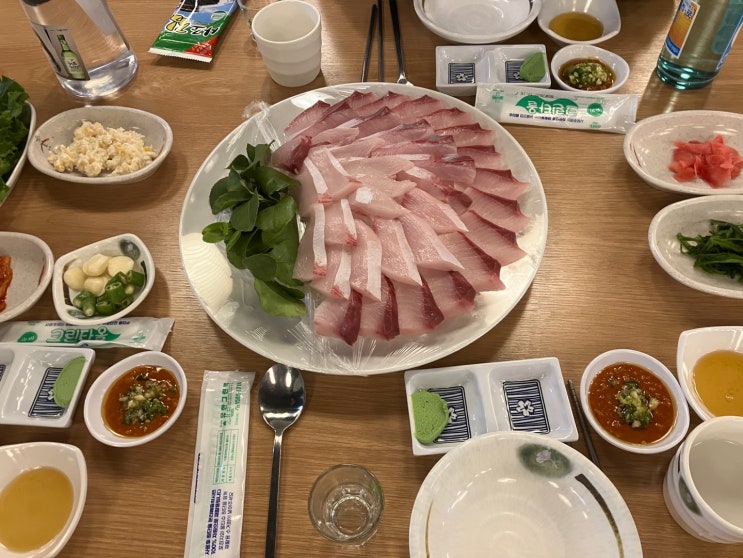  교대역 횟집 동해수산 대방어 광어 우럭