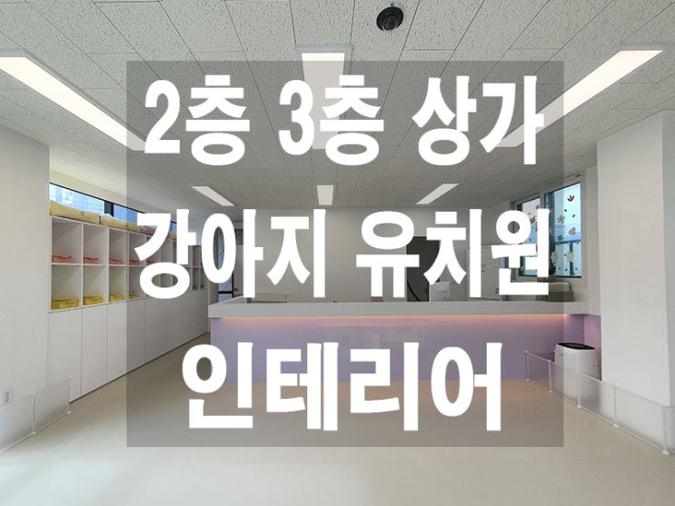  김포 고촌읍 2층 상가 애견 유치원, 댕댕이 학원 인테리어