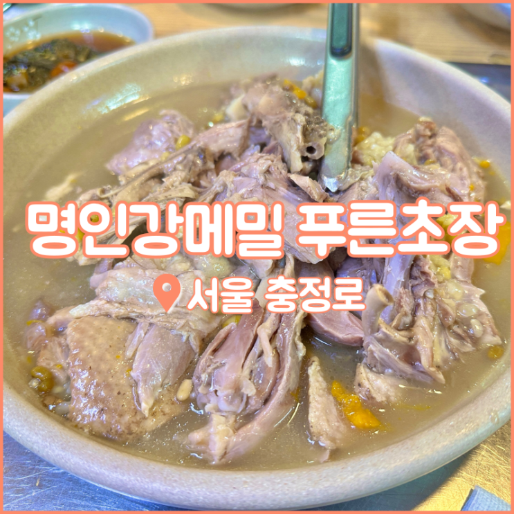  서울 충정로 맛집, 속이 편안한 오리백숙 명인강메밀 푸른초장