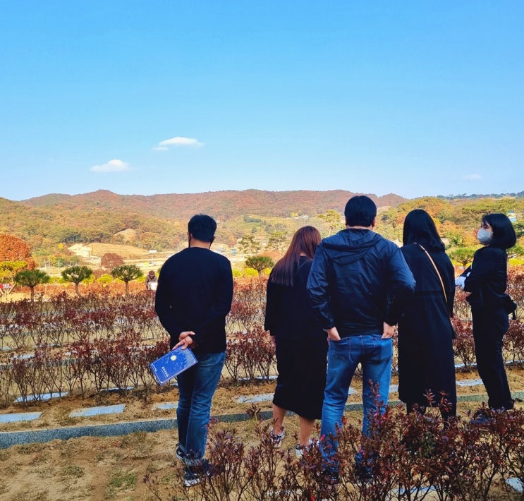  수목장 예약 방법과 장점
