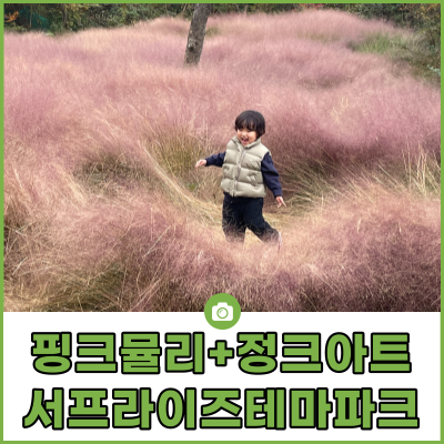  제주 아이와 가볼만한 곳, 서프라이즈테마파크! 핑크뮬리+정크아트 여행